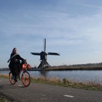 Cruises, Sailing & Water Tours