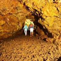 Full-day Tours