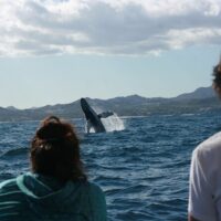 Eco Tours