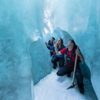 Eco Tours