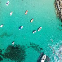 Day Cruises