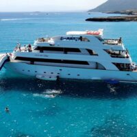 Day Cruises