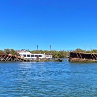 Boat Tours