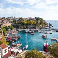 Bus & Minivan Tours