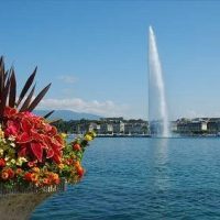 Boat Tours