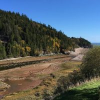 Half-day Tours