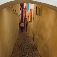 Walking & Biking Tours