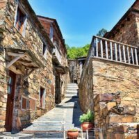 Half-day Tours