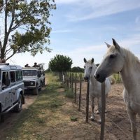 4WD, ATV & Off-Road Tours