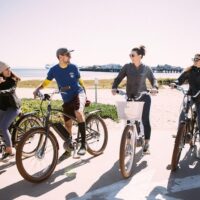 Bike Rentals