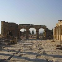 Cultural Tours