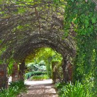 Wine Tasting & Winery Tours