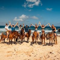 Horseback Riding