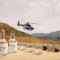 Food, Wine & Nightlife