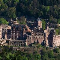 Cultural Tours