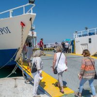 Day Trips & Excursions