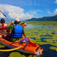 Kayaking & Canoeing