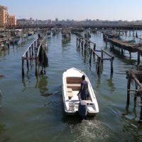 Boat Tours