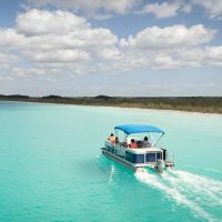 Half-day Tours