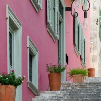 Cultural Tours