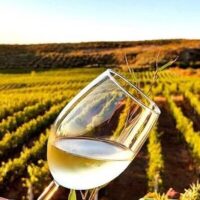 Private & Custom Tours