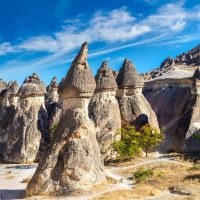 Private Sightseeing Tours