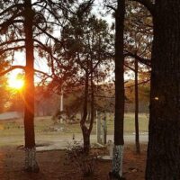Bus & Minivan Tours
