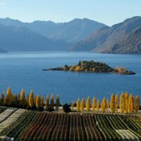 Honeymoon Packages