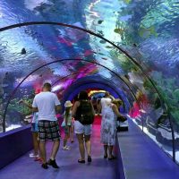 Sightseeing Tickets & Passes