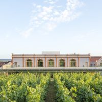 Food, Wine & Nightlife