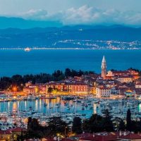 Shore Excursions