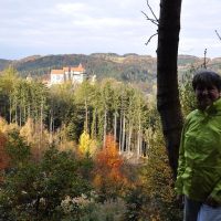Bus & Minivan Tours