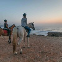Sustainable Tours