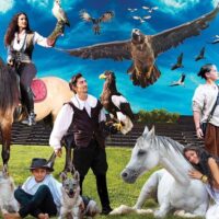 Family-friendly Shows