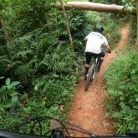 Walking & Biking Tours