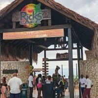 Full-day Tours