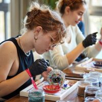Classes & Workshops