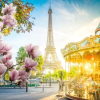 City Tours