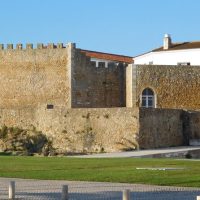 Shore Excursions