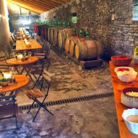 Walking & Biking Tours