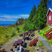 Bus & Minivan Tours