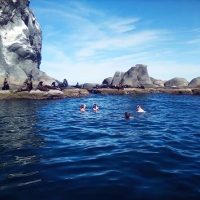 Boat Tours