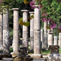 Shore Excursions