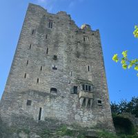 Ports of Call Tours