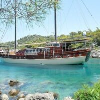 Boat Tours