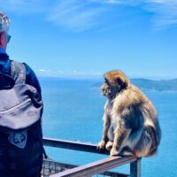 Ports of Call Tours