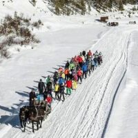 Luxury Tours