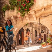 Bike Rentals