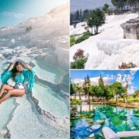 Bus & Minivan Tours