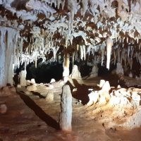 Shore Excursions
